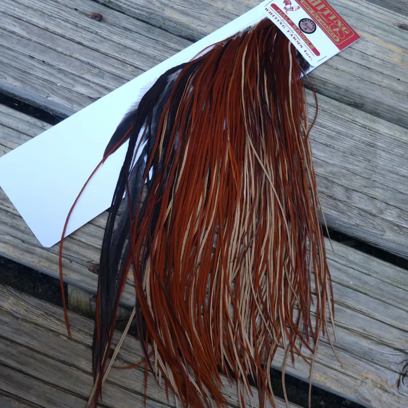 Whiting 1/2 BRONZE Grade Dry Fly Rooster Saddle in Brown-1